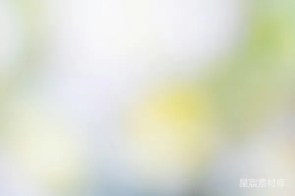 高清摄影 模糊的自然背景