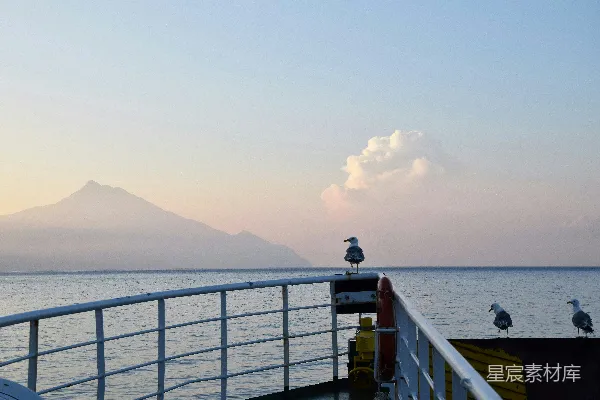 高清摄影 海鸥与宁静的海岸