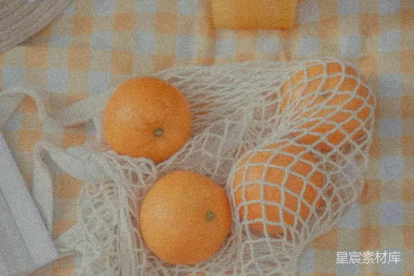 高清摄影 橙色水果与网袋的夏日静物