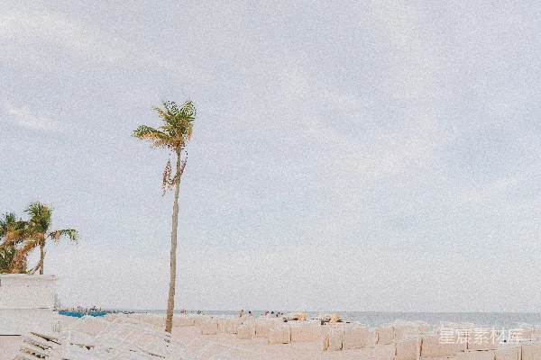 高清摄影 海滩上的宁静时光