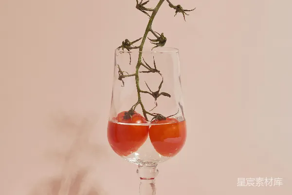 高清摄影 番茄枝的创意展示