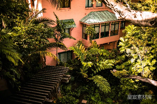 高清摄影 热带植物环绕的粉红色建筑