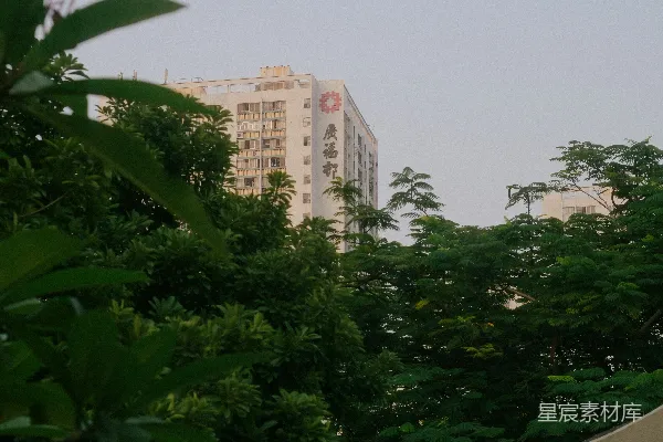 高清摄影 城市中的绿意