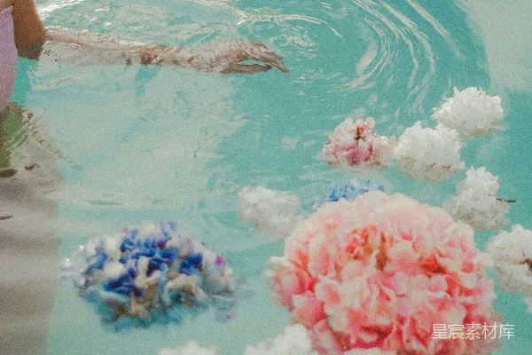 高清摄影 水中的花：宁静的瞬间