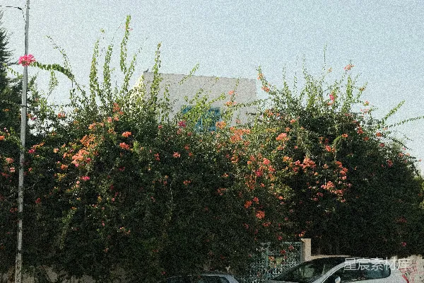 高清摄影 城市角落的静谧风景