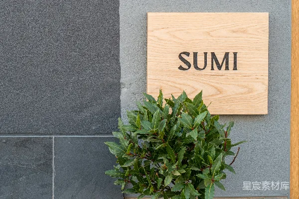 高清摄影 SUMI的简约木质招牌与绿植