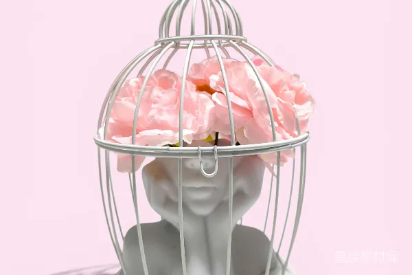 高清摄影 粉色玫瑰与白色人头雕像