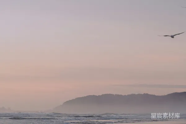 高清摄影 晨曦中的海滩与飞翔的海鸥