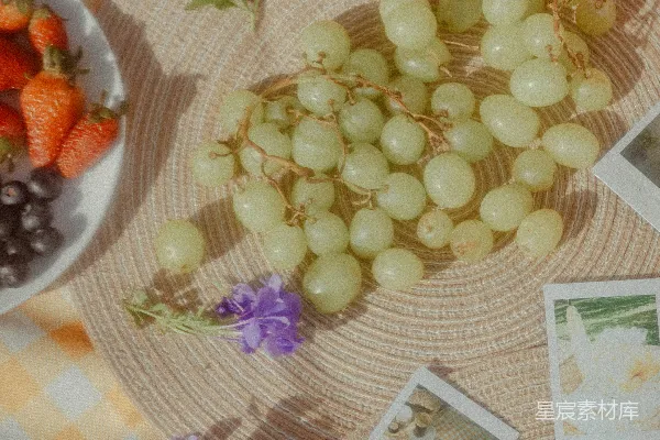 高清摄影 夏日野餐，自然与美食的完美结合