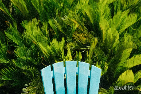 高清摄影 绿色植物与蓝色椅子的和谐场景