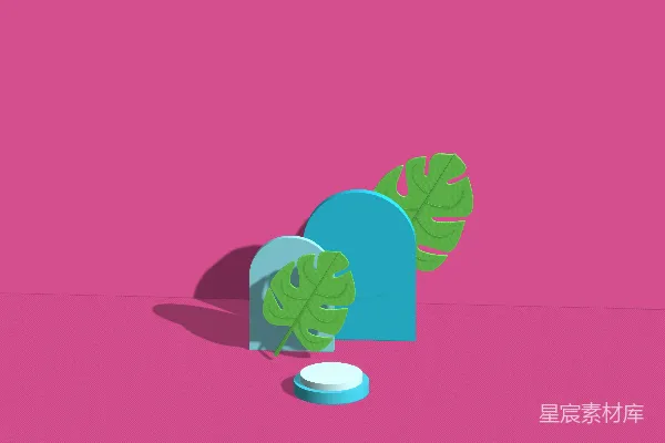 高清摄影 夏日绿植与几何形状的创意组合