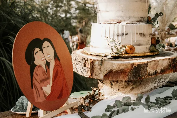 高清摄影 自然主题婚礼蛋糕与插画装饰