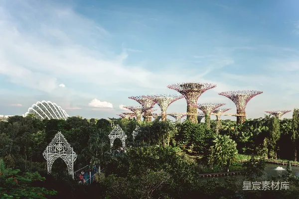 高清摄影 新加坡滨海湾花园的壮丽景观