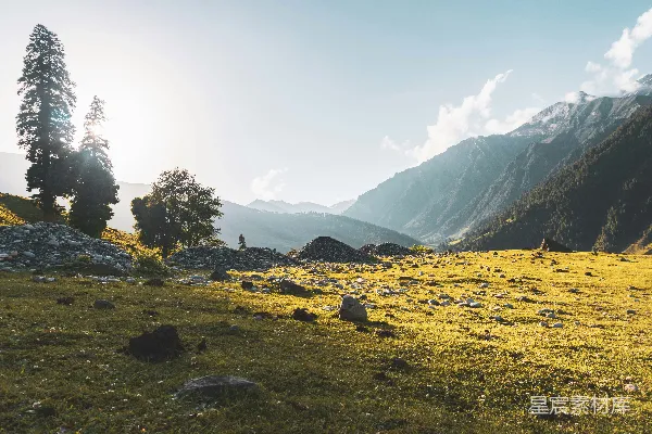 高清摄影 阳光下的山间草地