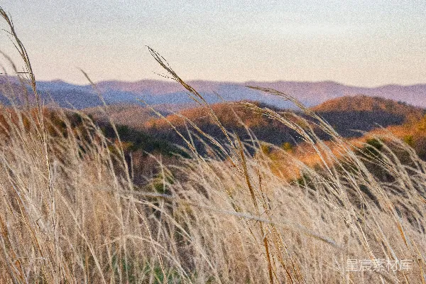 高清摄影 夕阳下的山野