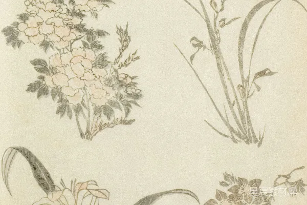 高清摄影 古典花卉图集