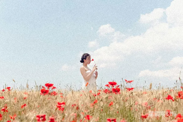 高清摄影 田野中的红罂粟花与白裙女子