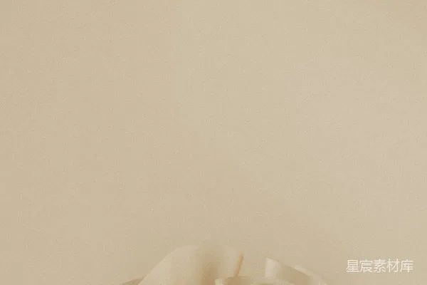 高清摄影 柔美花瓣的艺术构图