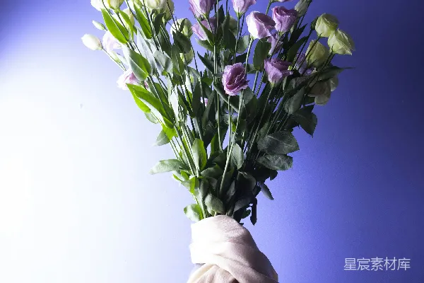 高清摄影 浪漫花束