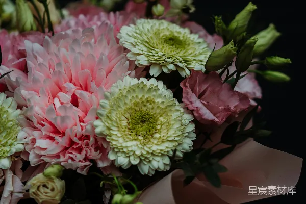 高清摄影 粉白相间的花束特写