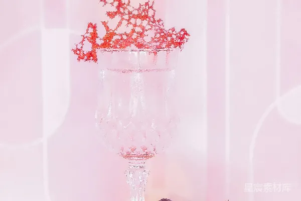高清摄影 粉色调的葡萄酒与葡萄