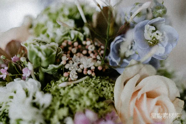 高清摄影 淡雅花束特写