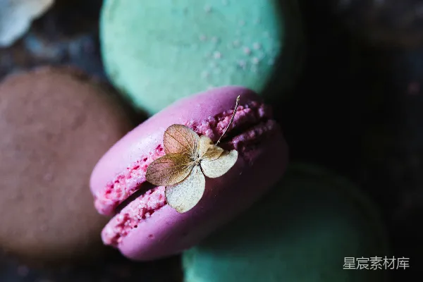 高清摄影 精致马卡龙与干花的完美组合