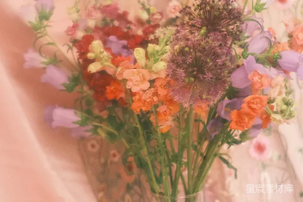 高清摄影 梦幻花瓶中的多彩花卉
