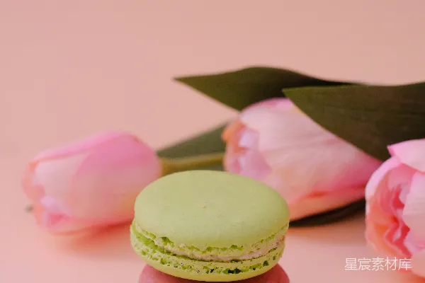 高清摄影 粉嫩马卡龙与粉色花朵