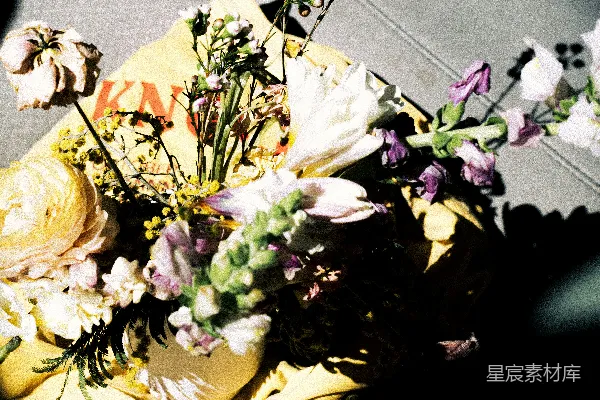 高清摄影 光影下的自然花束