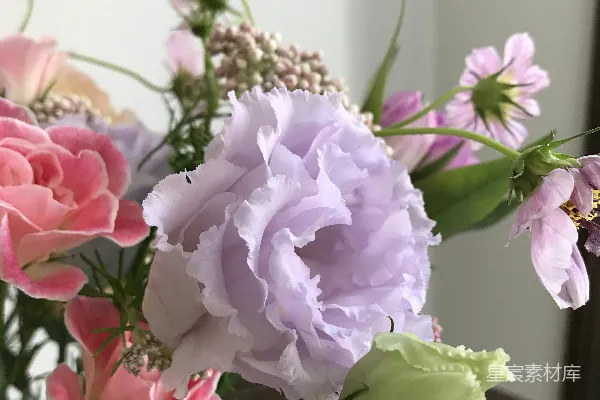高清摄影 淡紫色玫瑰与粉色花卉的优雅花束