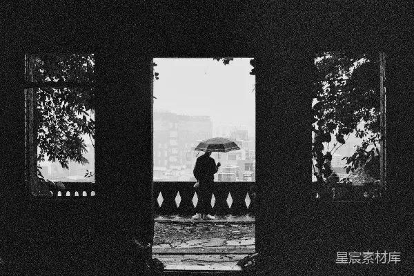 高清摄影 雨中的背影