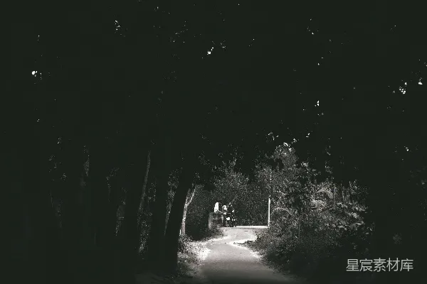 高清摄影 幽静的林间小道