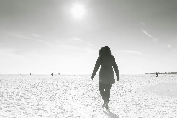 高清摄影 冬日雪地漫步