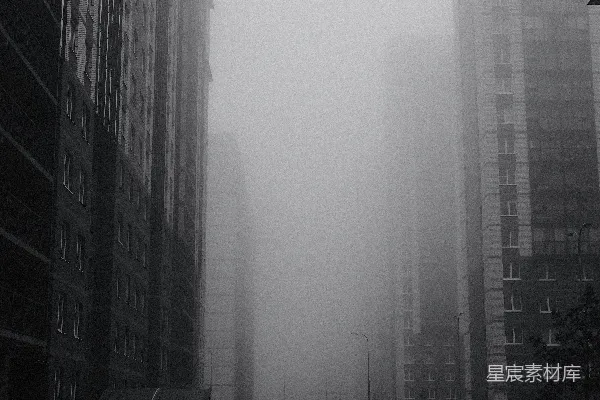 高清摄影 雾中的城市街道