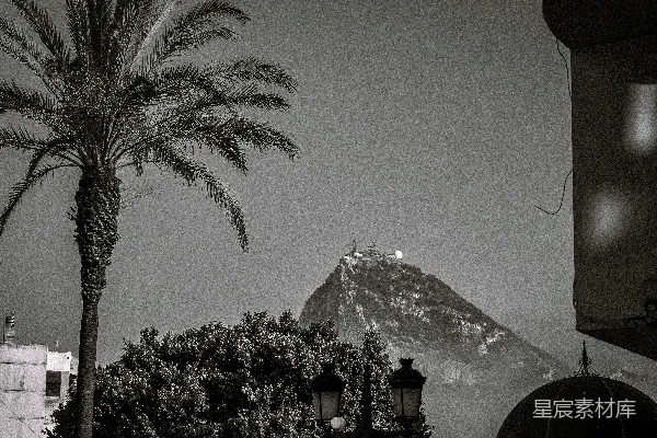高清摄影 棕榈树与山峰的黑白剪影