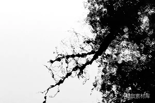 高清摄影 黑白抽象水纹