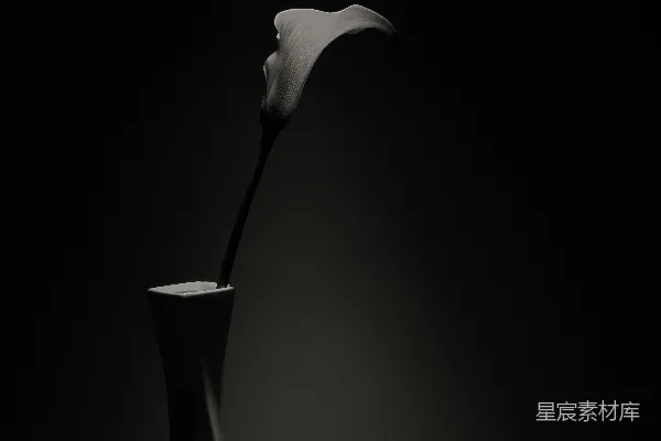 高清摄影 静谧花瓶中的百合