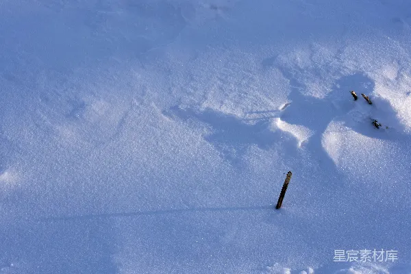 高清摄影 雪地上的痕迹