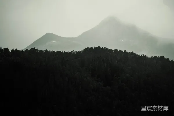 高清摄影 雾中森林与山峰