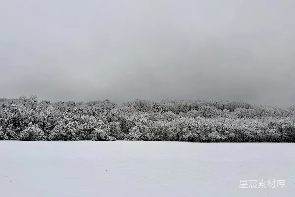 高清摄影 冬日雪景