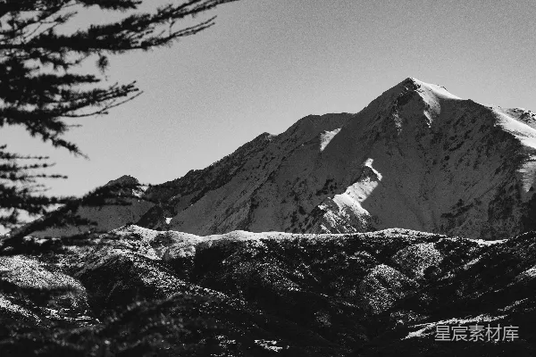 高清摄影 雪覆盖的山峰与松枝
