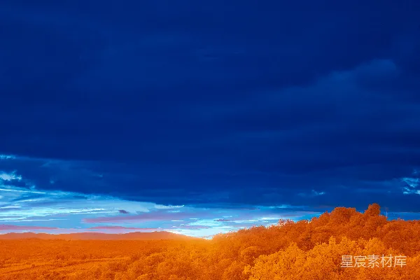 高清摄影 夕阳下的山林