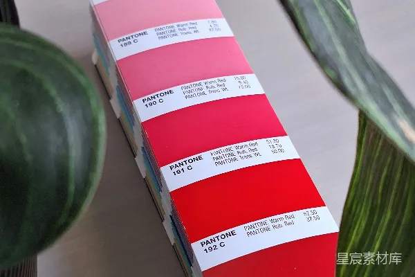 高清摄影 植物与Pantone色卡