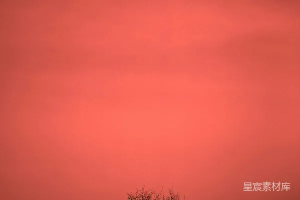 高清摄影 晚霞中的孤树