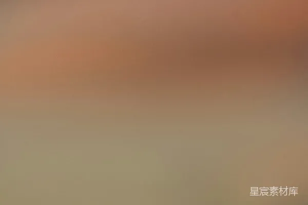 高清摄影 夕阳下的宁静天空