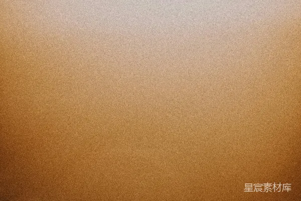 高清摄影 晨曦中的草丛