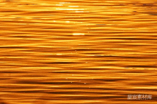 高清摄影 金色涟漪的水面