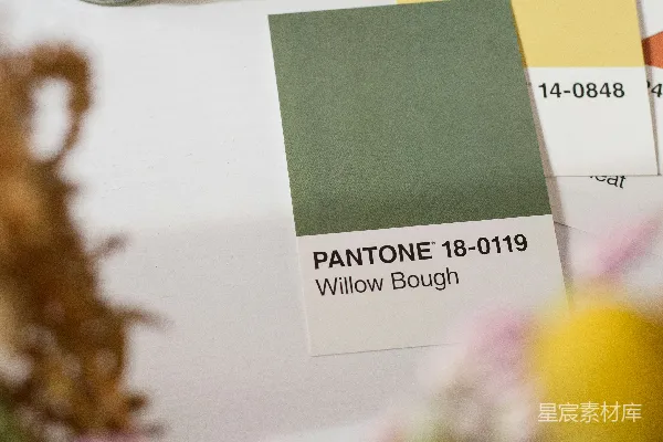 高清摄影 PANTONE 18-0119 Willow Bough 色卡展示