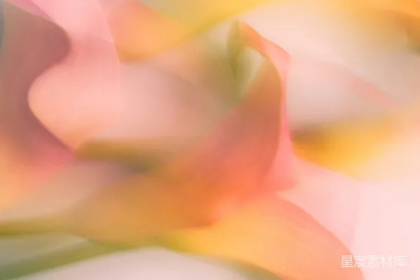 高清摄影 柔和色彩的花瓣特写
